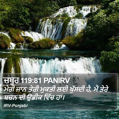 ਜ਼ਬੂਰ 119:81 PANIRV Bible Verse Image