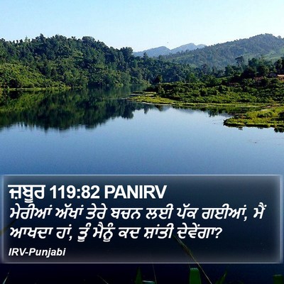ਜ਼ਬੂਰ 119:82 PANIRV Bible Verse Image