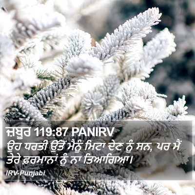 ਜ਼ਬੂਰ 119:87 PANIRV Bible Verse Image
