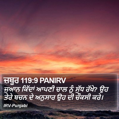 ਜ਼ਬੂਰ 119:9 PANIRV Bible Verse Image