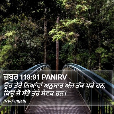 ਜ਼ਬੂਰ 119:91 PANIRV Bible Verse Image