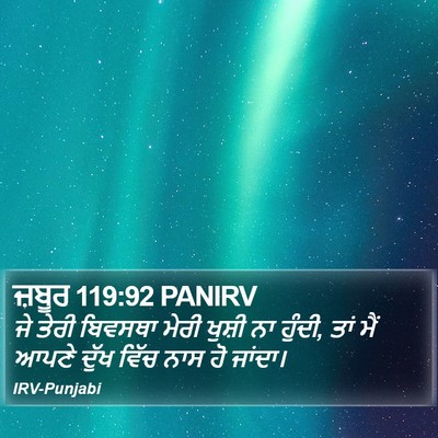 ਜ਼ਬੂਰ 119:92 PANIRV Bible Verse Image
