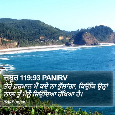 ਜ਼ਬੂਰ 119:93 PANIRV Bible Verse Image