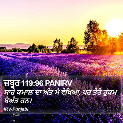 ਜ਼ਬੂਰ 119:96 PANIRV Bible Verse Image
