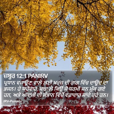 ਜ਼ਬੂਰ 12:1 PANIRV Bible Verse Image
