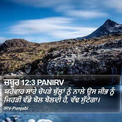 ਜ਼ਬੂਰ 12:3 PANIRV Bible Verse Image