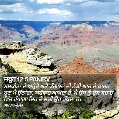 ਜ਼ਬੂਰ 12:5 PANIRV Bible Verse Image