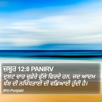 ਜ਼ਬੂਰ 12:8 PANIRV Bible Verse Image