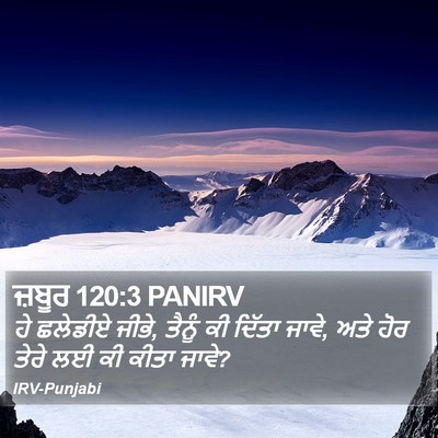 ਜ਼ਬੂਰ 120:3 PANIRV Bible Verse Image