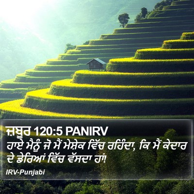 ਜ਼ਬੂਰ 120:5 PANIRV Bible Verse Image