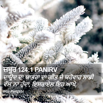 ਜ਼ਬੂਰ 124:1 PANIRV Bible Verse Image
