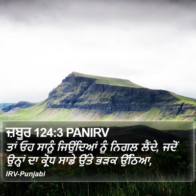 ਜ਼ਬੂਰ 124:3 PANIRV Bible Verse Image