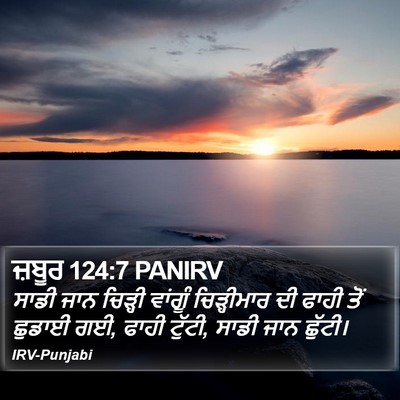 ਜ਼ਬੂਰ 124:7 PANIRV Bible Verse Image