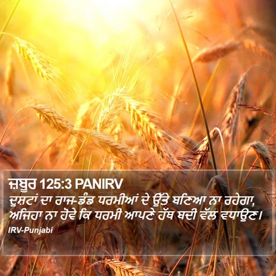 ਜ਼ਬੂਰ 125:3 PANIRV Bible Verse Image