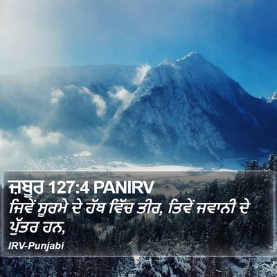 ਜ਼ਬੂਰ 127:4 PANIRV Bible Verse Image
