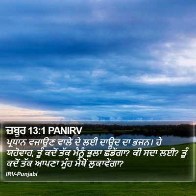 ਜ਼ਬੂਰ 13:1 PANIRV Bible Verse Image
