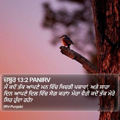 ਜ਼ਬੂਰ 13:2 PANIRV Bible Verse Image