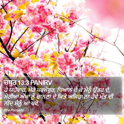 ਜ਼ਬੂਰ 13:3 PANIRV Bible Verse Image