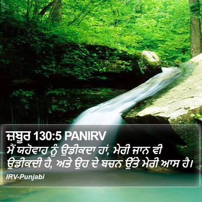 ਜ਼ਬੂਰ 130:5 PANIRV Bible Verse Image