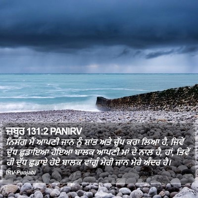 ਜ਼ਬੂਰ 131:2 PANIRV Bible Verse Image