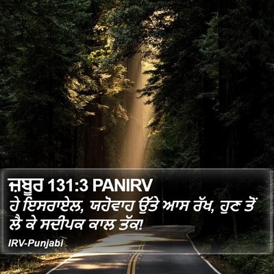 ਜ਼ਬੂਰ 131:3 PANIRV Bible Verse Image