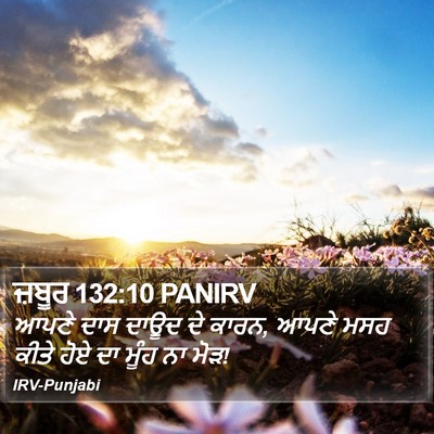 ਜ਼ਬੂਰ 132:10 PANIRV Bible Verse Image