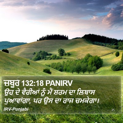 ਜ਼ਬੂਰ 132:18 PANIRV Bible Verse Image