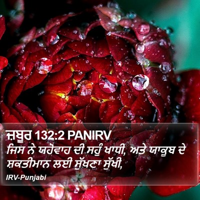 ਜ਼ਬੂਰ 132:2 PANIRV Bible Verse Image