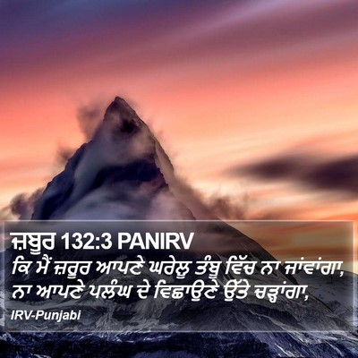 ਜ਼ਬੂਰ 132:3 PANIRV Bible Verse Image
