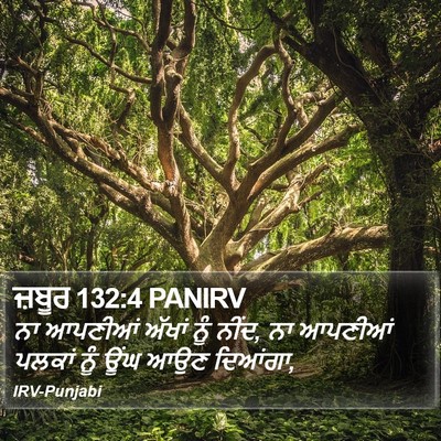 ਜ਼ਬੂਰ 132:4 PANIRV Bible Verse Image