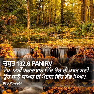 ਜ਼ਬੂਰ 132:6 PANIRV Bible Verse Image