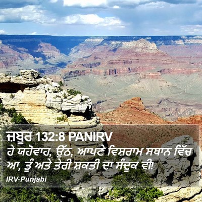 ਜ਼ਬੂਰ 132:8 PANIRV Bible Verse Image