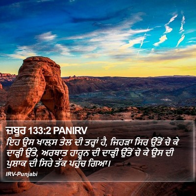 ਜ਼ਬੂਰ 133:2 PANIRV Bible Verse Image