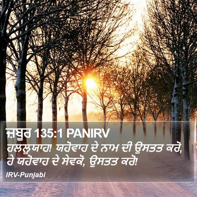 ਜ਼ਬੂਰ 135:1 PANIRV Bible Verse Image