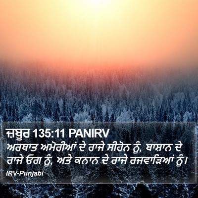 ਜ਼ਬੂਰ 135:11 PANIRV Bible Verse Image