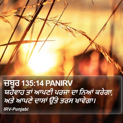 ਜ਼ਬੂਰ 135:14 PANIRV Bible Verse Image
