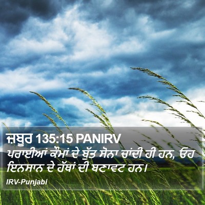 ਜ਼ਬੂਰ 135:15 PANIRV Bible Verse Image