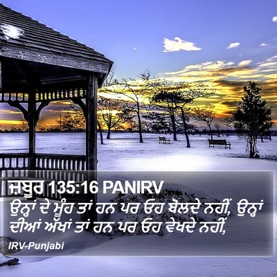ਜ਼ਬੂਰ 135:16 PANIRV Bible Verse Image