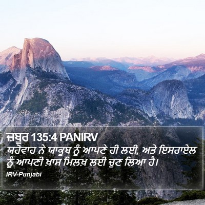 ਜ਼ਬੂਰ 135:4 PANIRV Bible Verse Image