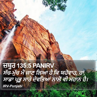 ਜ਼ਬੂਰ 135:5 PANIRV Bible Verse Image