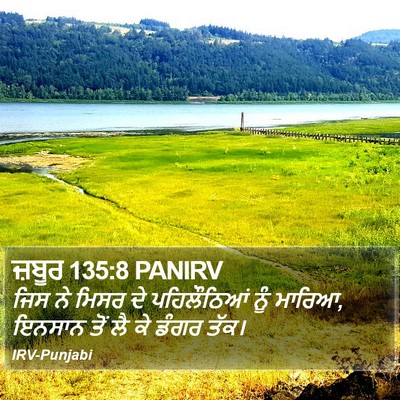ਜ਼ਬੂਰ 135:8 PANIRV Bible Verse Image