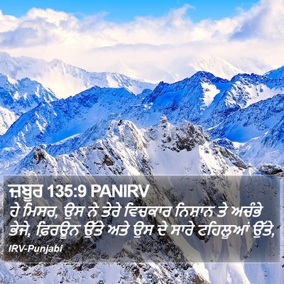 ਜ਼ਬੂਰ 135:9 PANIRV Bible Verse Image