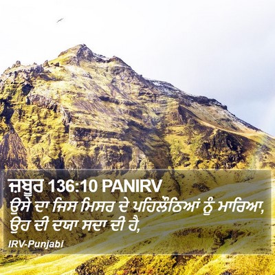 ਜ਼ਬੂਰ 136:10 PANIRV Bible Verse Image