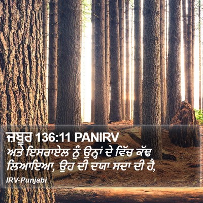 ਜ਼ਬੂਰ 136:11 PANIRV Bible Verse Image