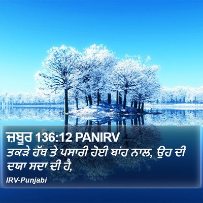 ਜ਼ਬੂਰ 136:12 PANIRV Bible Verse Image