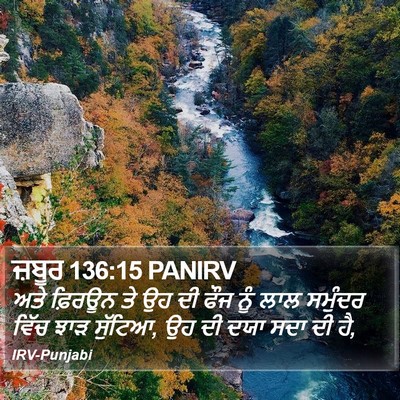 ਜ਼ਬੂਰ 136:15 PANIRV Bible Verse Image