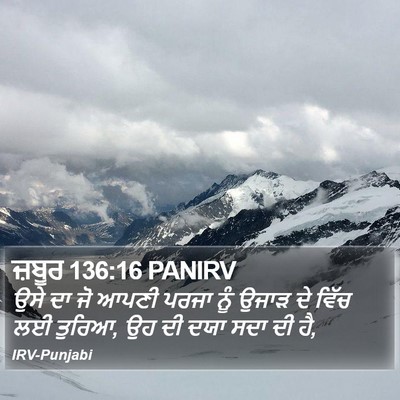 ਜ਼ਬੂਰ 136:16 PANIRV Bible Verse Image