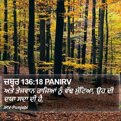 ਜ਼ਬੂਰ 136:18 PANIRV Bible Verse Image