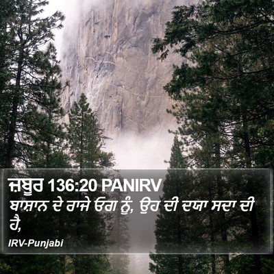 ਜ਼ਬੂਰ 136:20 PANIRV Bible Verse Image