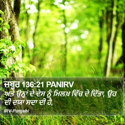 ਜ਼ਬੂਰ 136:21 PANIRV Bible Verse Image